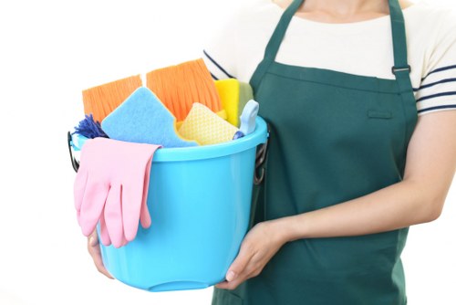 Professional deep cleaning for a Southkensington home interior