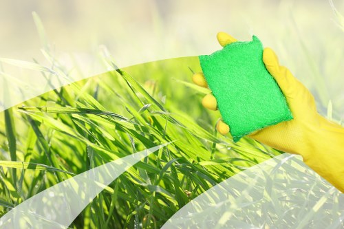 Professional stain removal service for Southkensington homes