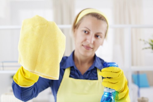 Professional one-off cleaning for a Southkensington home interior