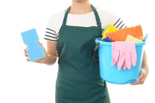 Further review stage in a cleaner complaints process