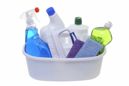 Professional cleaning payment and service terms illustration