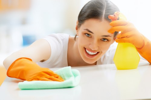 Professional window cleaning for Southkensington homes and commercial properties