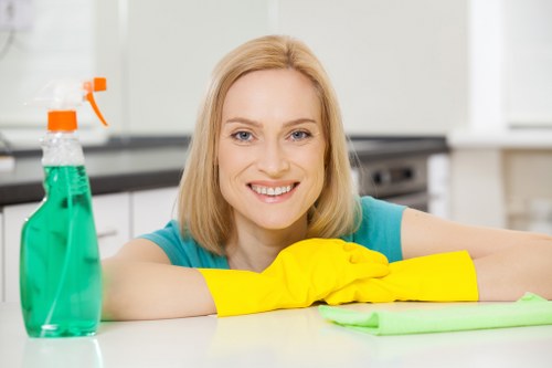 Local gutter cleaning service for properties around South Kensington