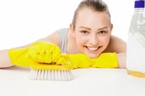Carpet cleaning equipment treating a pet odour problem in Southkensington