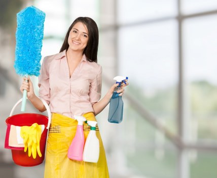 Checklist of tasks included in a regular cleaning visit