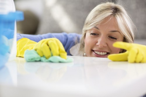 Detailed kitchen and appliance cleaning during a move out clean in South Kensington