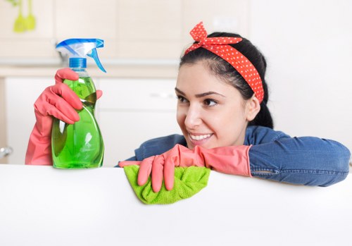 Domestic cleaner in South Kensington cleaning a modern kitchen