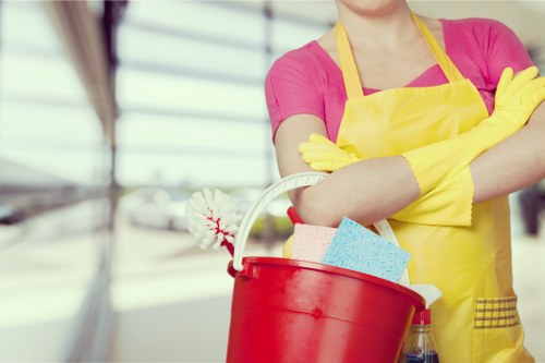 Skilled South Kensington cleaner providing careful property maintenance