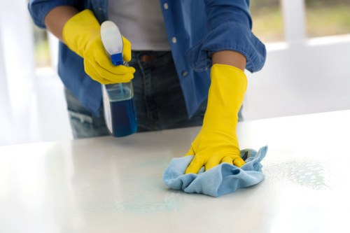 Professional stain removal on upholstery after a pet accident